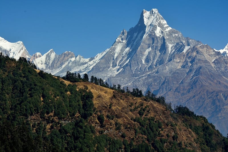 Himalayas Trekking